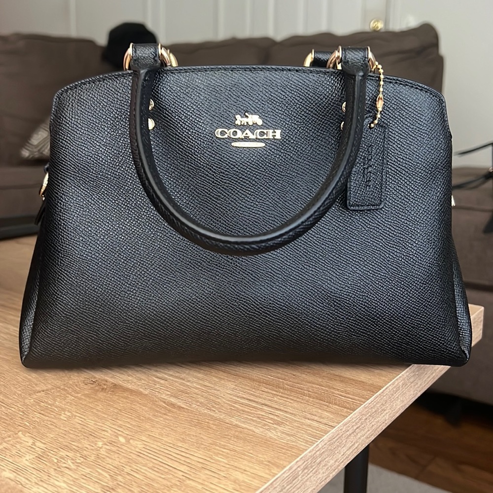 Coach mini Lillie carryall